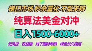 2026美金掘金新风口-纯算法对冲震撼上线!日入1500-6000+,长久合规稳健,轻松摆脱死工资-网创项目