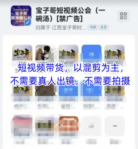宝子哥头部团队短视频带货，以混剪为主，不需要真人出镜，不需要拍摄【更新26年3月】-网创项目