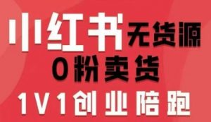 小红书无货源0粉电商课，开店准备、选品策略、笔记撰写、视频剪辑、数据分析、账号打造、资料文档(更新26年3月16日)-网创项目
