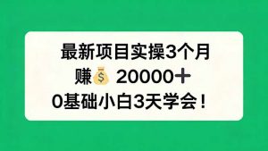 最新项目实操3个月，赚钱20000+，0基础小白3天学会！-网创项目