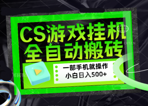 CSGO游戏挂机捡漏搬砖,超稳定的项目,带领1000+小白实现日入500+,数据可视频验证-网创项目