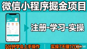 微信小程序掘金项目，项目很简单，5分钟就能学会上手操作，实操7天賺了1700+【揭秘】-网创项目