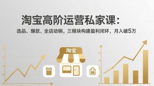 淘宝高阶运营私家课(更新26年4月-网创项目