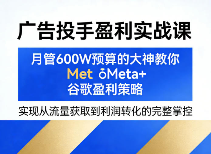 广告投手盈利实战课，月管600W预算的大神教你Meta+谷歌盈利策略，实现从流量获取到利润转化的完整掌控-网创项目