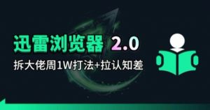 迅雷浏览器项目2.0_拆个大佬周1W的打法-网创项目