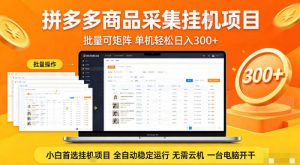 拼多多商品信息全自动采集项目,批量可矩阵,单机轻松日入300+,无需云机一台电脑开干【揭秘】-网创项目