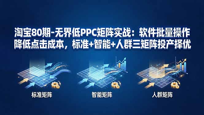 淘宝80期-无界低PPC矩阵实战：软件批量操作降低点击成本，标准+智能+人群三矩阵投产择优-网创项目