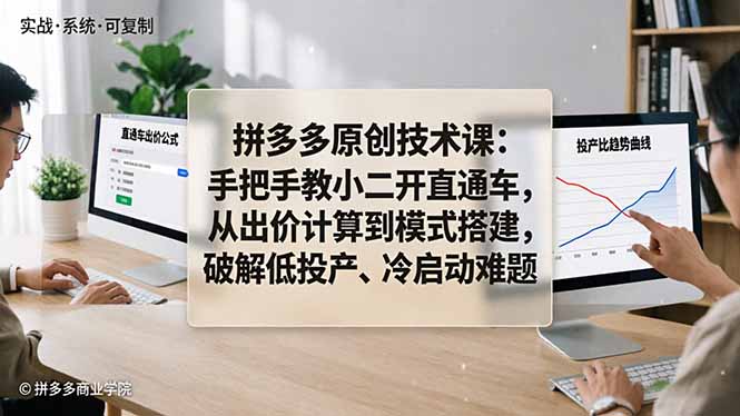 拼多多原创技术课：手把手教小二开直通车，从出价计算到模式搭建，破解低投产、冷启动难题-网创项目