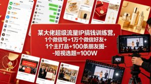 某大佬超级流量IP搞钱训练营，1个微信号+1万个微信好友+1个主打品+100条朋友圈-短视选题=100W-网创项目
