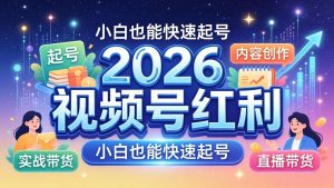 2026视频号红利实战营，大佬亲授起号、内容、直播、IP、投流、私域、矩阵全套落地打法-网创项目