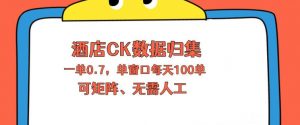 上班也能玩的酒店CK数据归集，一单0.7单窗口每天可做100单，一个人就能矩阵操作【揭秘】-网创项目