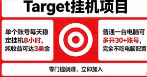海外平台Target，正规运营商合作、技术兜底长期稳定、防风控、任务不断档、收益透明、灵活提…-网创项目