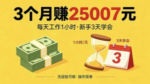 3个月赚钱25007元，每天工作1个小时，新手3天全部学会！-网创项目