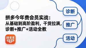 拼多多年费会员实战(更新26年5月7-网创项目